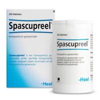 Heel Spascupreel 250 Tabletten - thumbnail
