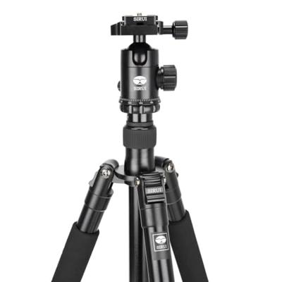 Sirui ET-2004 statief + E-20 balhoofd