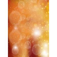 Bresser BR-F124 Achtergrond 180x250cm - thumbnail