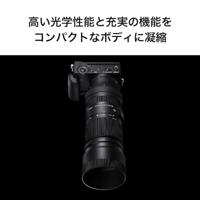 Sigma 100-400mm F5-6.3 DG DN OS (C) L-Mount - thumbnail
