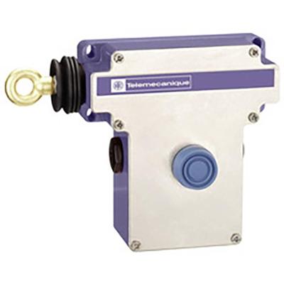 Schneider Electric Servomotor BMH0703P02A2A