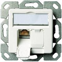 Telegärtner Netwerkdoos inbouw met centrale plaat CAT 5e 2 Port alpinewit - thumbnail