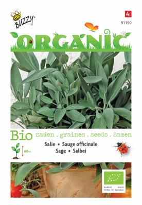 Zaden Organic Salie (BIO) Buzzy - Buzzy