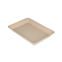 Snackschaaltje V3 suikerriet BIO - thumbnail