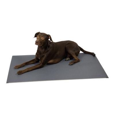 alsa-brand Thermoligmat Warm & Healthy, grijs alsa-brand Thermoligmat Warm & Healthy, grijs