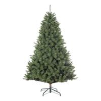 Kunstkerstboom carmanah 215 cm groen - thumbnail