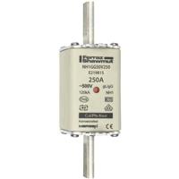 Mersen 1B175.000000 NH-zekering Afmeting zekering : 1 250 A 500 V 1 stuk(s) - thumbnail