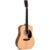 Sigma Guitars DM-ST westerngitaar - thumbnail