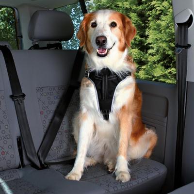 Hondentuigje Trixie Comfort Zwart L Auto