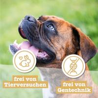 Chewies 009051 Hundeleckerl gevogelte enkeltjes - 125 g - trainingslekkernij voor honden - vleessofties zonder suiker - hondensnack met hoog vleesgehalte,1 x 125 g - thumbnail