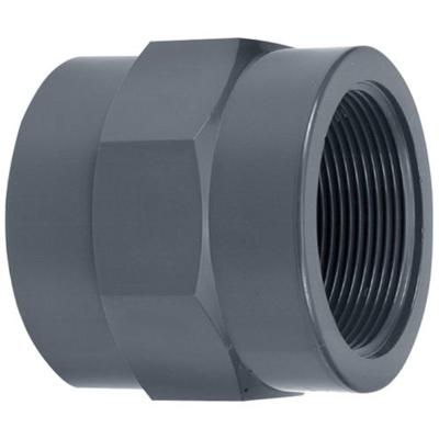 Aquaforte PVC Schroefbus 20mm x ½ Inch - Waterdichte Lijmmof Binnendraad voor Vijver setups