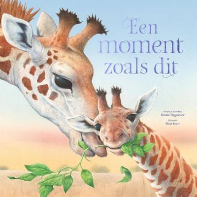 Een moment zoals dit (Hardback)
