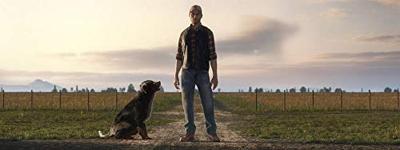 Farming Simulator 19