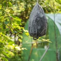 Ecostyle Wespweg - thumbnail