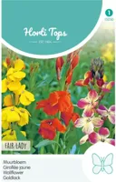 Zaden Cheiranthus Muurbloem Fair Lady gemengd Hortitops - Hortitops - thumbnail