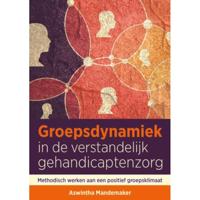 Groepsdynamiek in de verstandelijk gehandicaptenzorg (Paperback) - thumbnail