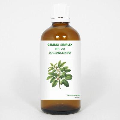 Balancepharma Gemmo simplex 20 juglans nigra 100 Milliliter