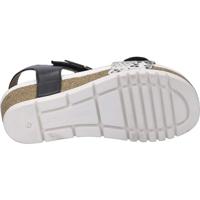 Josef Seibel QUINN 02 - alle - thumbnail