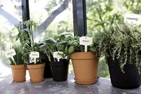 Elho green basics growpot 21 living black - thumbnail
