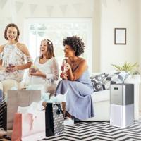 Invictus Luchtreiniger Air P7 - thumbnail