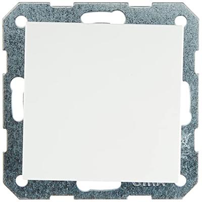 Gira blindplaat zuiverwit glanzend 026803