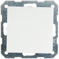 Gira blindplaat zuiverwit glanzend 026803 - thumbnail