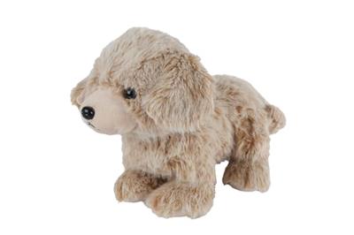 Take Me Home hond l pluche staand - 35cm