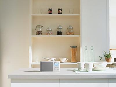 Sony XDR-S41D digitale radio (DAB+, FM, RDS, wekker)