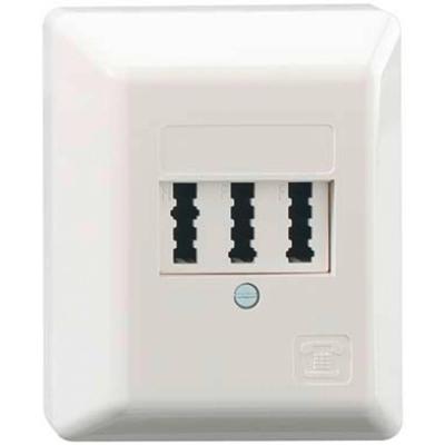 Rutenbeck TAE 2x6/6NFF Ap rw Stekkerdoos Opbouw (op muur) Wit Rutenbeck TAE 2x6/6NFF Ap rw Stekkerdoos Opbouw (op muur) Wit