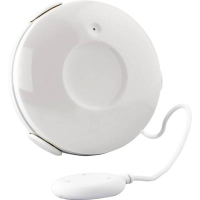 Slimme Watersensor - Lekkagemelder (HWS601)