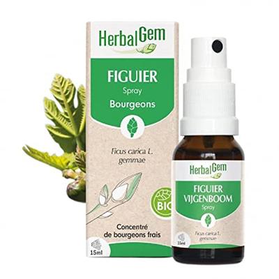 Herbalgem Vijgenboom Bio Spray 15ml