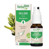 Herbalgem Vijgenboom Bio Spray 15ml - thumbnail