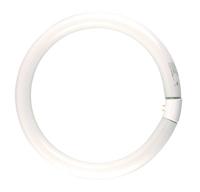 Philips Ronde TL 32W/840 TLE Coolwhite Philips 5900612 - thumbnail