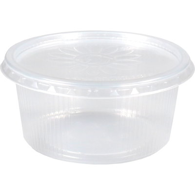 Plastic bak + deksel helder (250x 250cc)