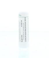 Cimicifuga racemosa 30CH - thumbnail