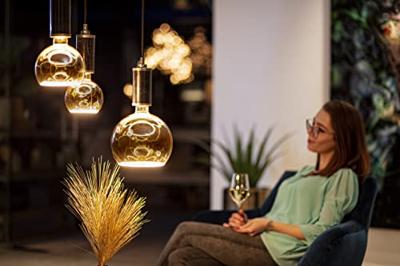 LED Lamp Globe Smokey Grey ⌀300mm 8W 350 lumen 1900K E27 dimbaar 55060