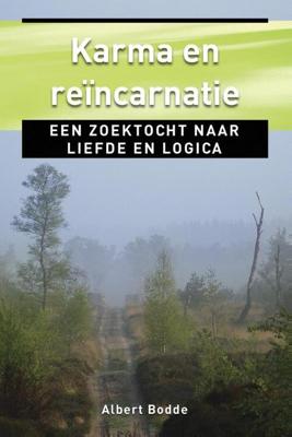 Karma en reincarnatie - Albert Bodde - ebook