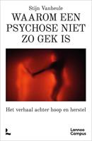 Waarom een psychose niet zo gek is - Stijn Vanheule - ebook - thumbnail