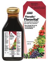 Salus Floradix Floravital 250ml - thumbnail