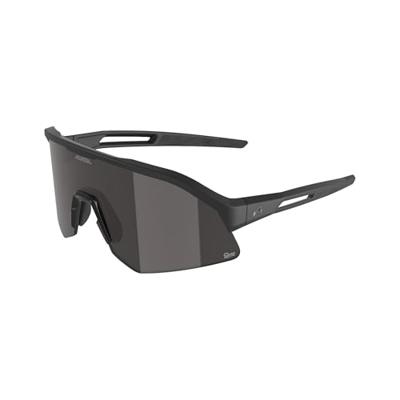 Alpina sonic hr m q-lite - sports glasses