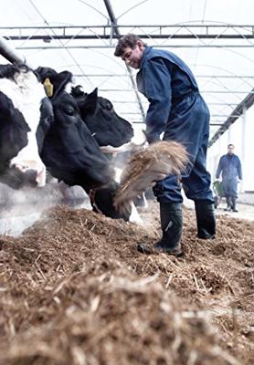 Dunlop D760933 Purofort+ (onbeveiligd) Groen - Maat 41 - 15.032.043.41