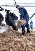 Dunlop D760933 Purofort+ (onbeveiligd) Groen - Maat 49 - 15.032.043.49 - thumbnail