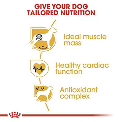 Royal Canin Boxer Adult hondenvoer 12kg - thumbnail