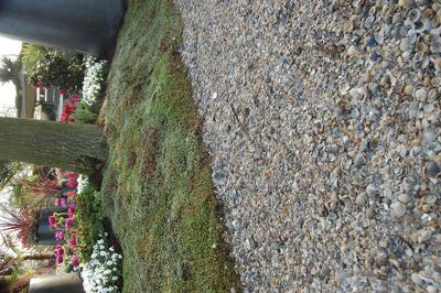 Schelpen bruin/grijs 8/16 mm BigBag 1000 kg Gardenlux - Gardenlux