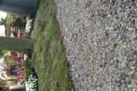 Schone schelpen Los gestort vanaf 13m3 - thumbnail