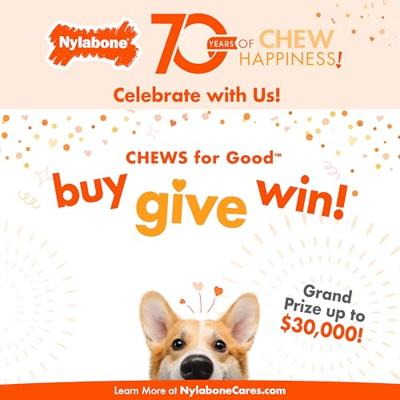 NYLABONE PUPPY CHEW BIJTRING SPEEN / BOT PUPPYSPEELGOED TOT 7 KG - thumbnail