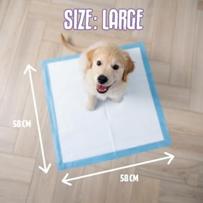EASYPETS PUPPY TRAINING PADS