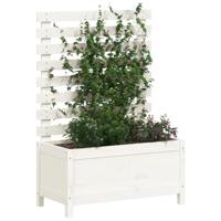 Plantenbak met rek 79x39,5x114 cm massief grenenhout wit - thumbnail