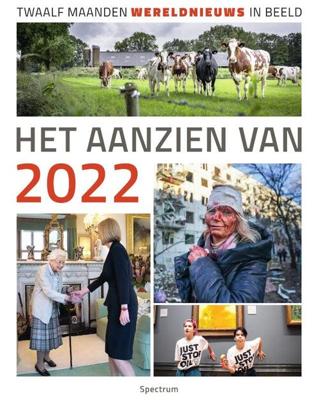 Het aanzien van 2022 (Hardback)