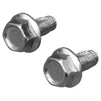 Rittal SZ 2489.500 Schroef Staal 500 stuk(s) - thumbnail